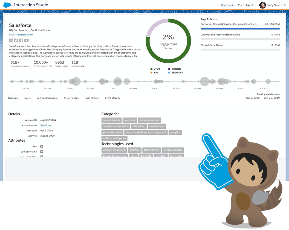 Salesforce Interaction Studio B2B-Erkennung